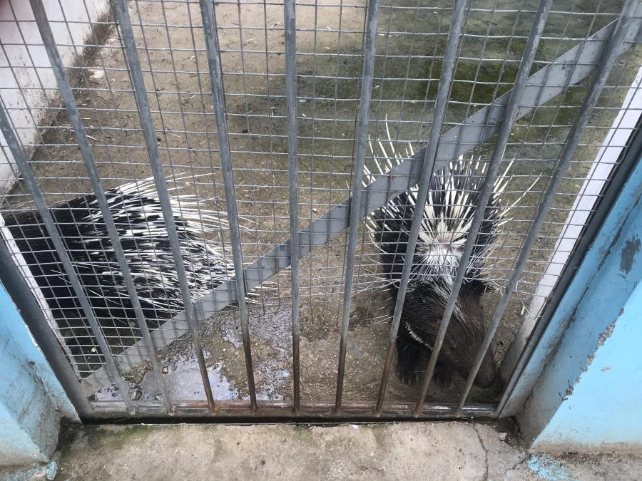 天鵝湖風景區(qū)（泰山）速覽！(圖10)